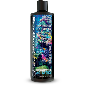 Brightwell MicroBacterSTARTXLM 250ml