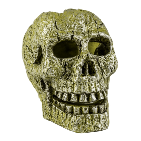 GloFish Skull