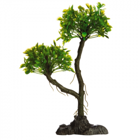 GloFish Plant Mangrove