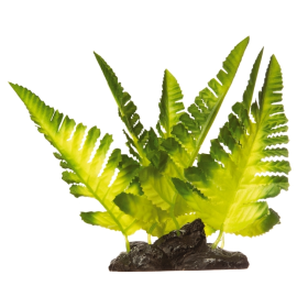 GloFish Plant Yellow Fern
