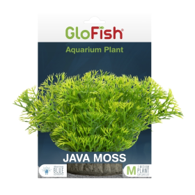 GloFish Plant Java Moss