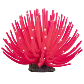 GloFish Anemone Large Pink