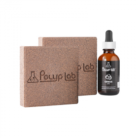 Polyplab Genesis Rock Booster