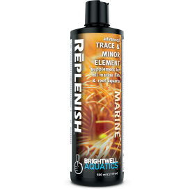 Brightwell Replenish 500ml