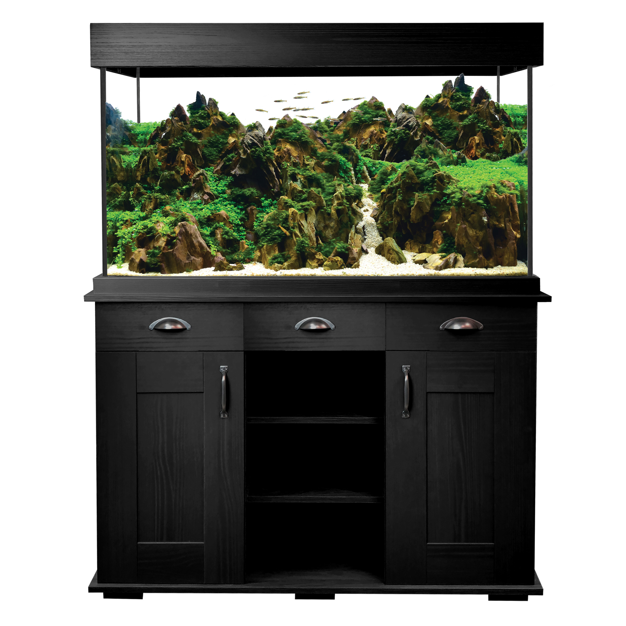 Aquarium équipé 66.5GAL Fluval Shaker Noir