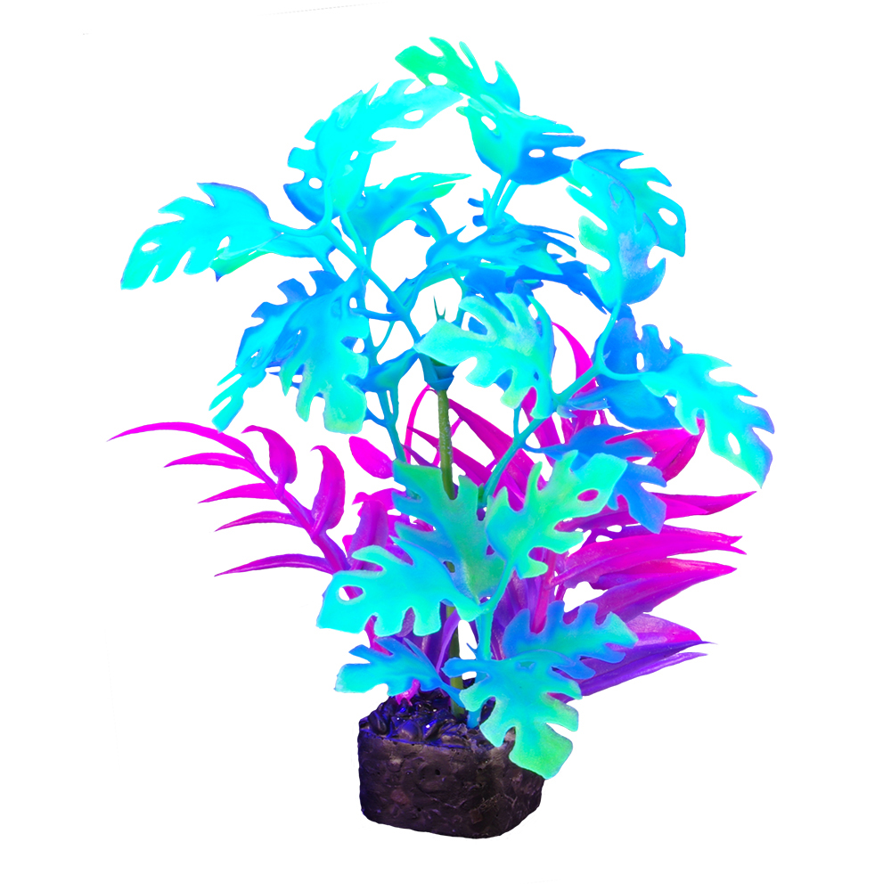 Plante iGlo Marina 7.5po/19cm