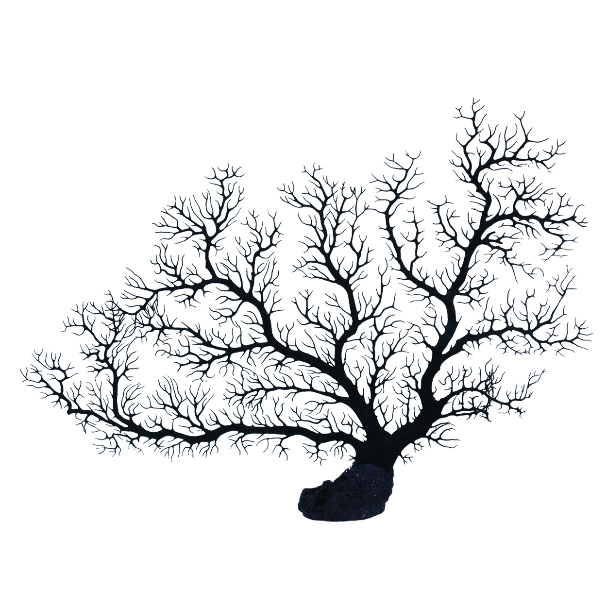 Underwater Treasures Sea Fan Coral