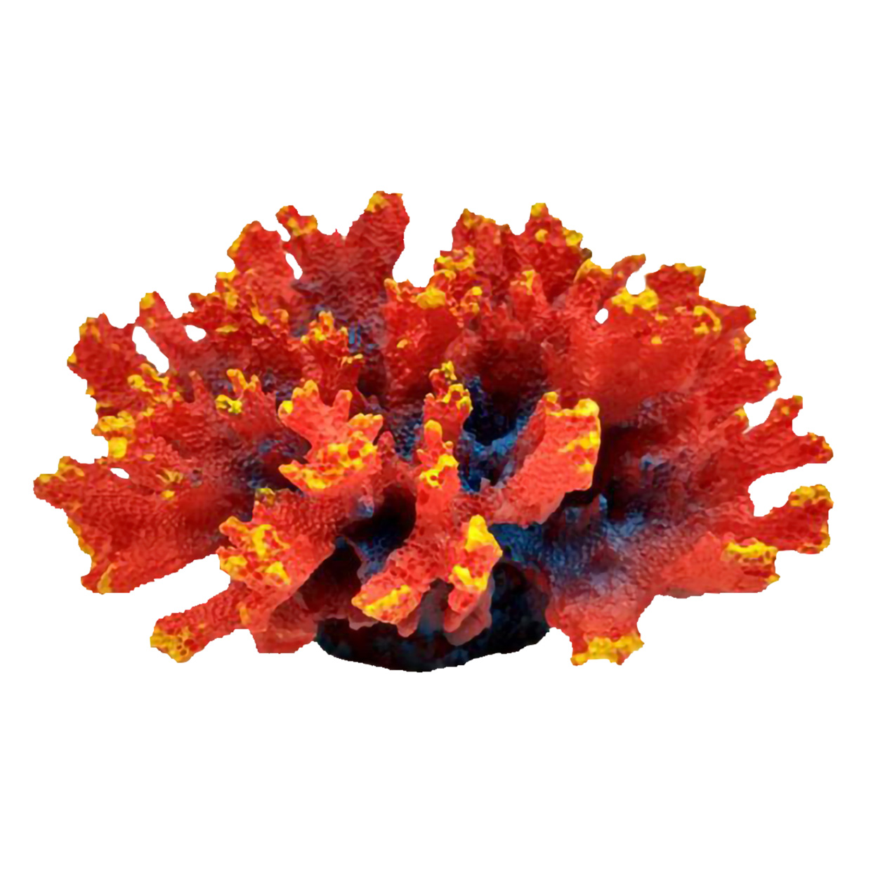Underwater Treasures Aussie Branch Coral