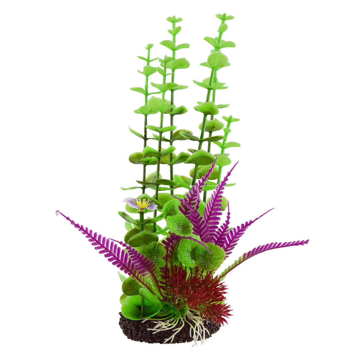 Underwater Treasures Rotala Purple Fern