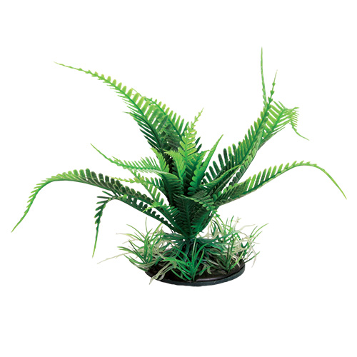 Underwater Treasures Weeping Fern - Green 6