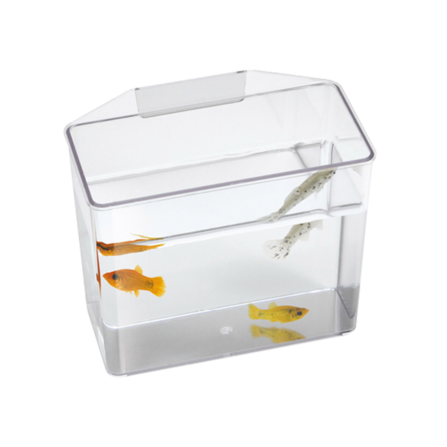 Lee's Break Resistant Specimen Container