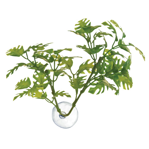 Zoo Med Betta Plant - Window Leaf