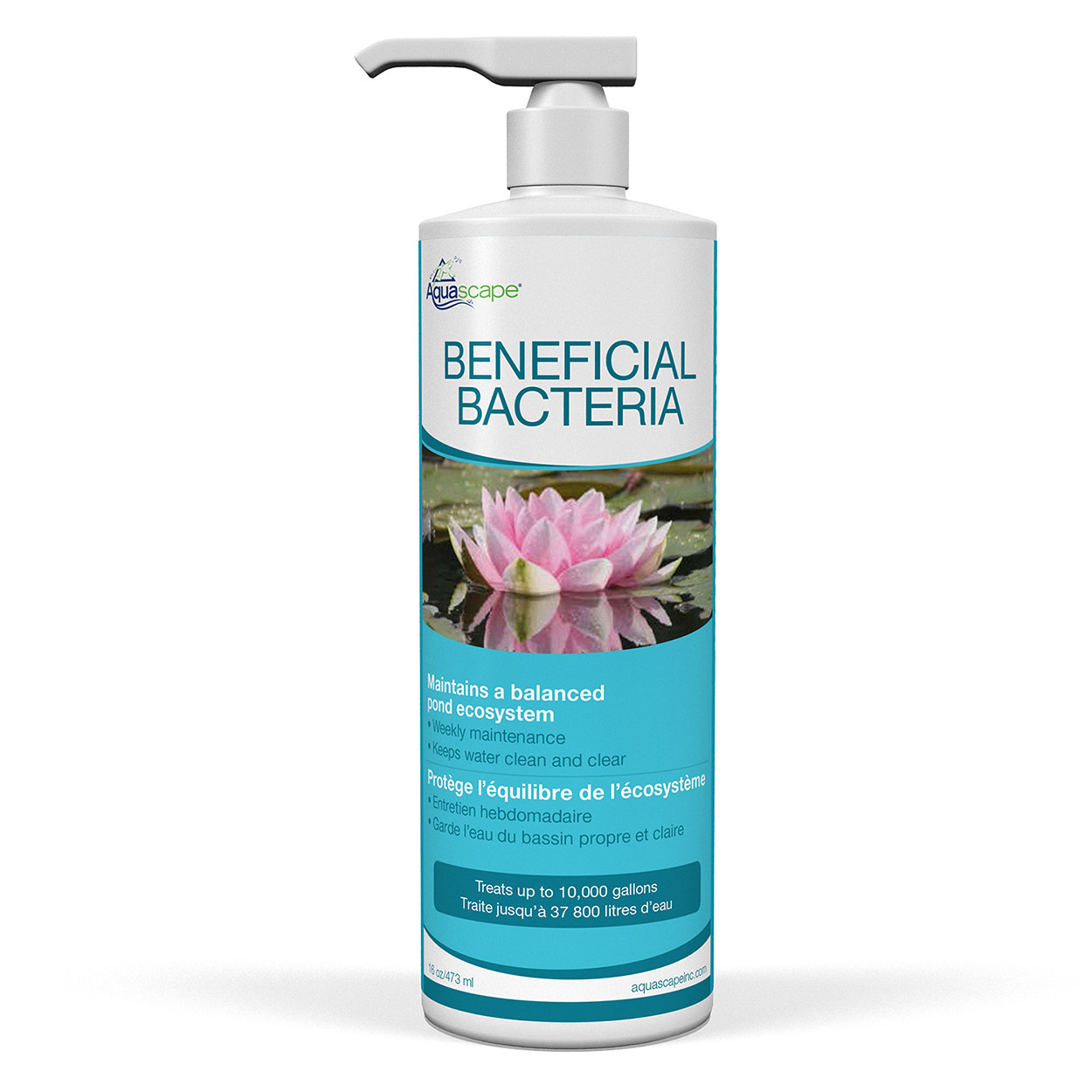 Aquascape Beneficial Bacteria