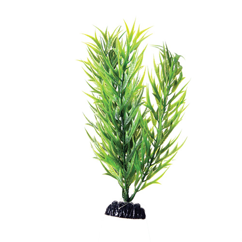 Underwater Treasures Green Bamboo