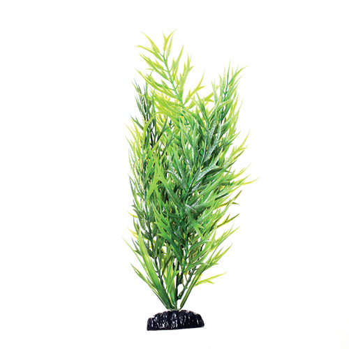 Underwater Treasures Green Bamboo