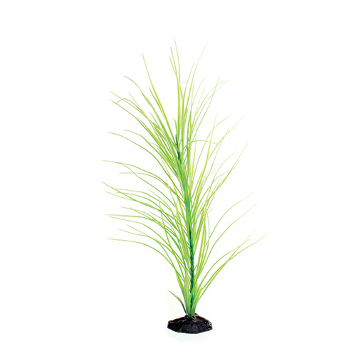 Underwater Treasures Green Hairgrass