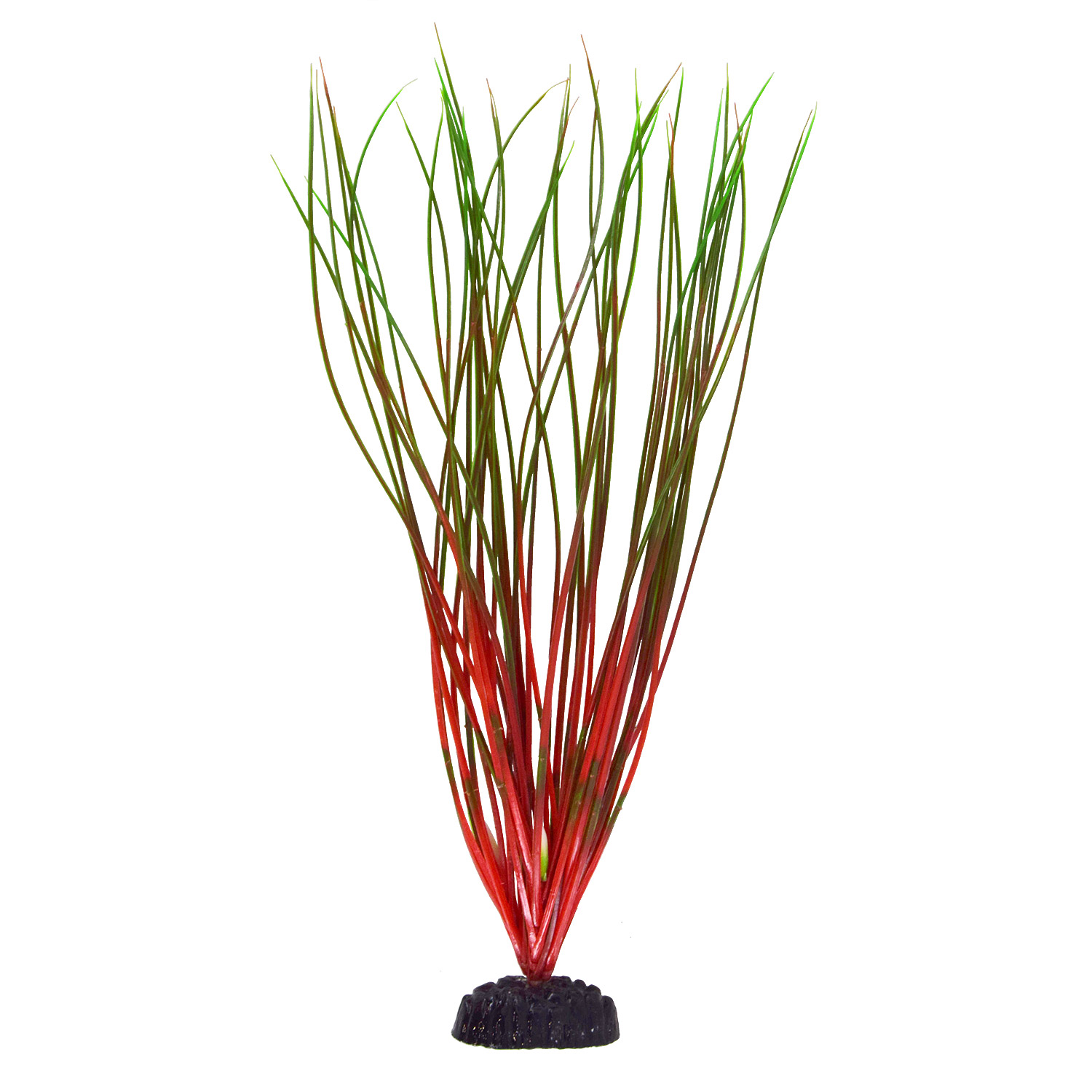 Underwater Treasures Red/Green Hairgrass