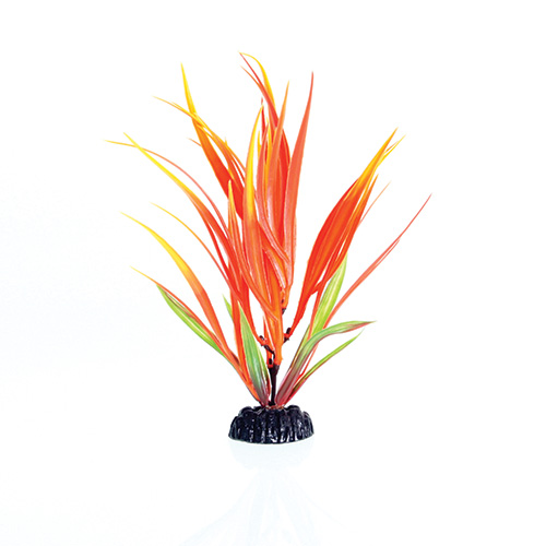 Underwater Treasures Orange/Yellow Flame