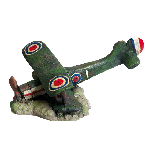 Underwater Treasures Downed Bi-Plane