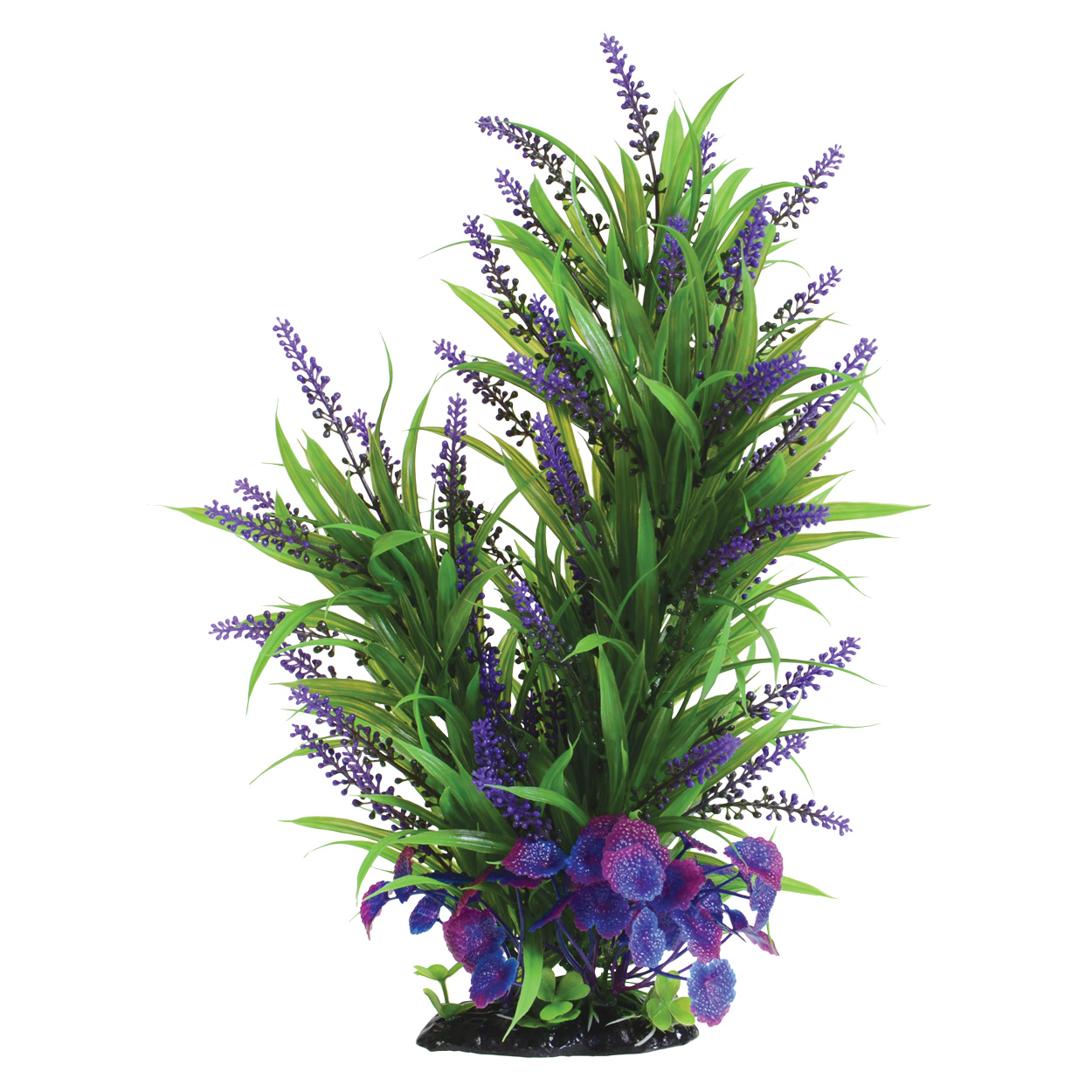Underwater Treasures Purple Passion