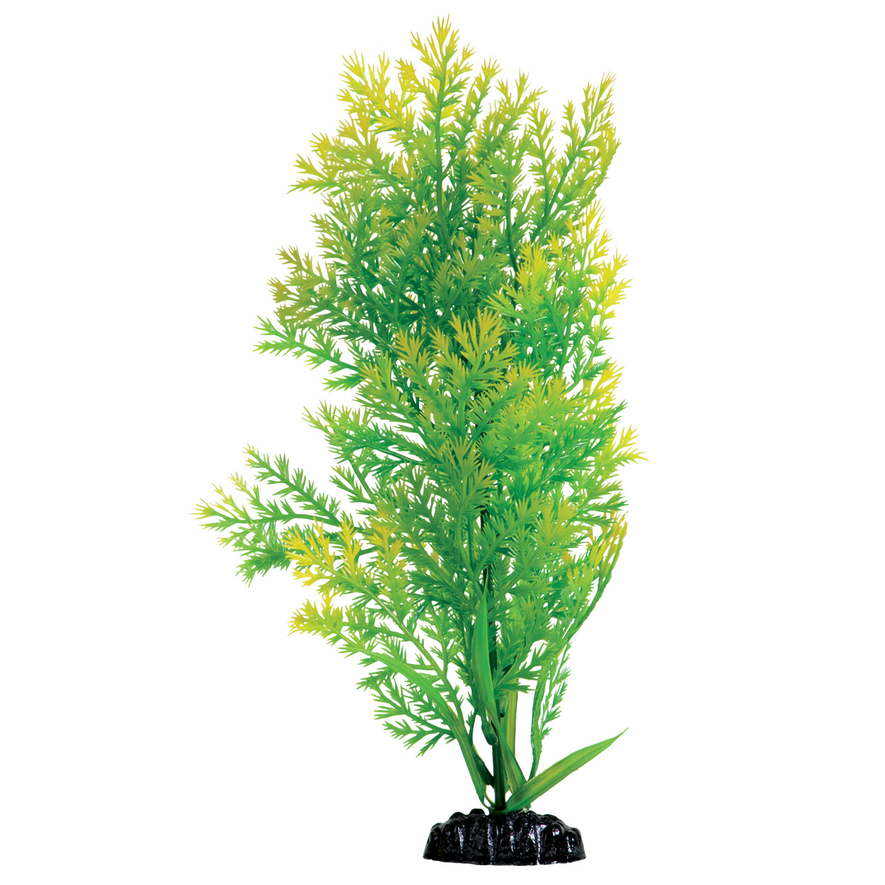 Underwater Treasures Water Violet