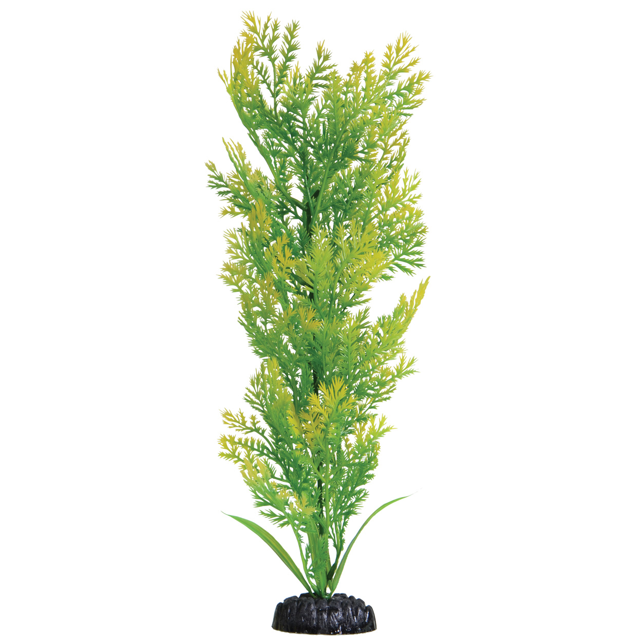 Underwater Treasures Water Violet
