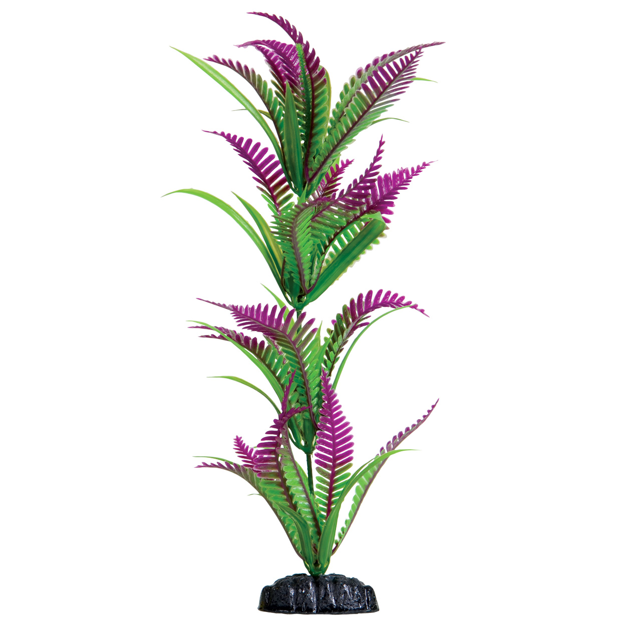 Underwater Treasures Lonely Heart Fern
