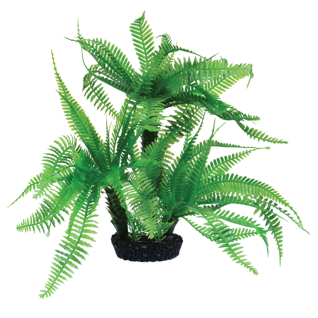 Underwater Treasures Jurassic Fern