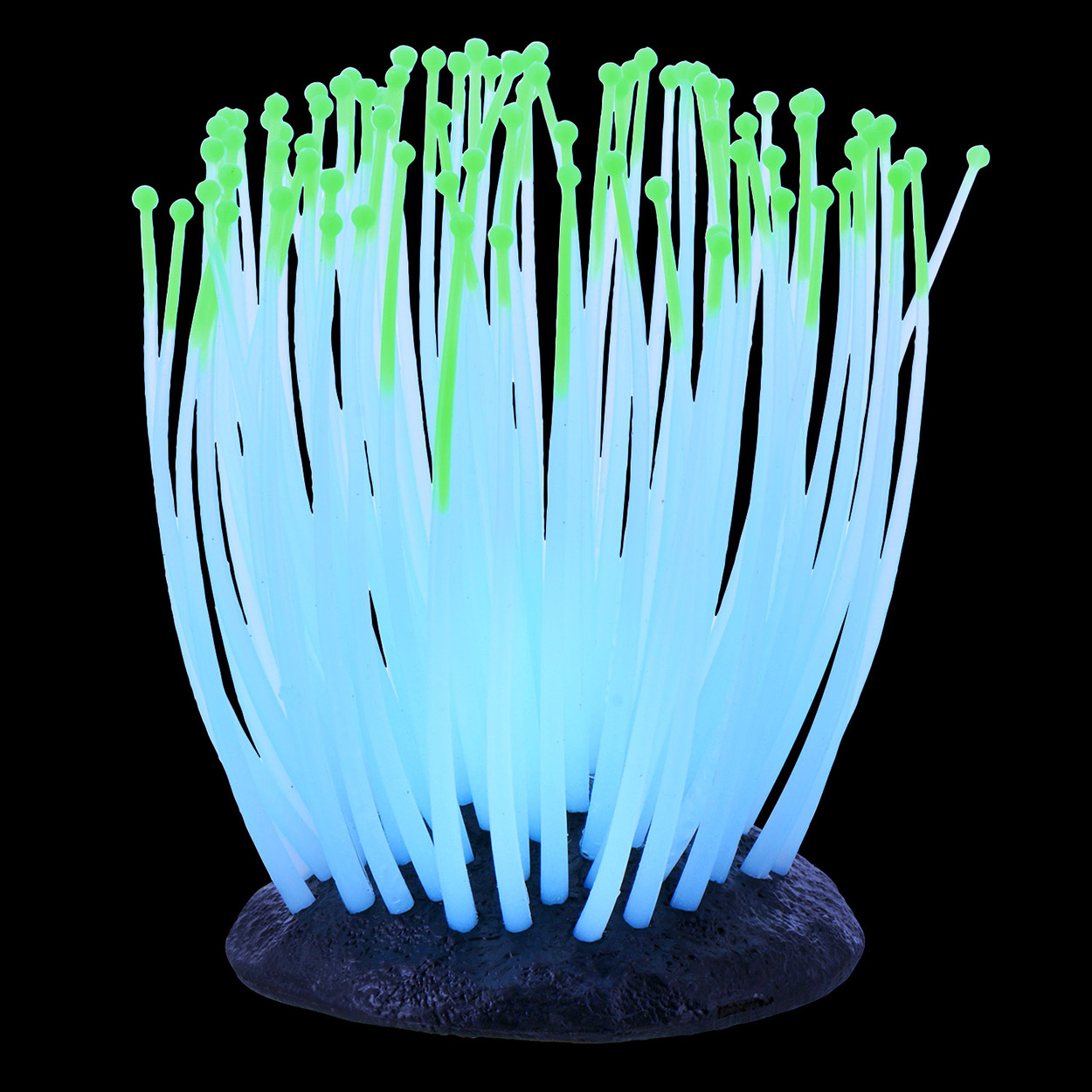 Underwater Treasures Glowing Anemone - Green