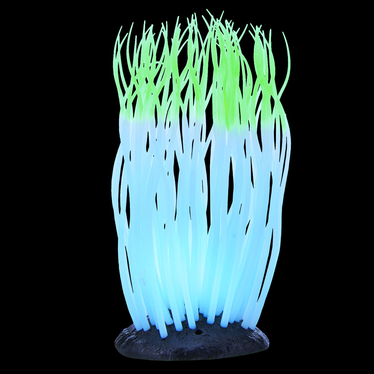 Underwater Treasures Glowing Anemone - Green