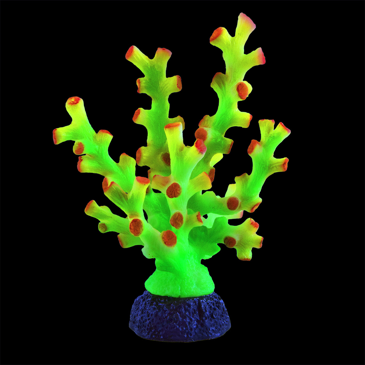 Underwater Treasures Octo Coral