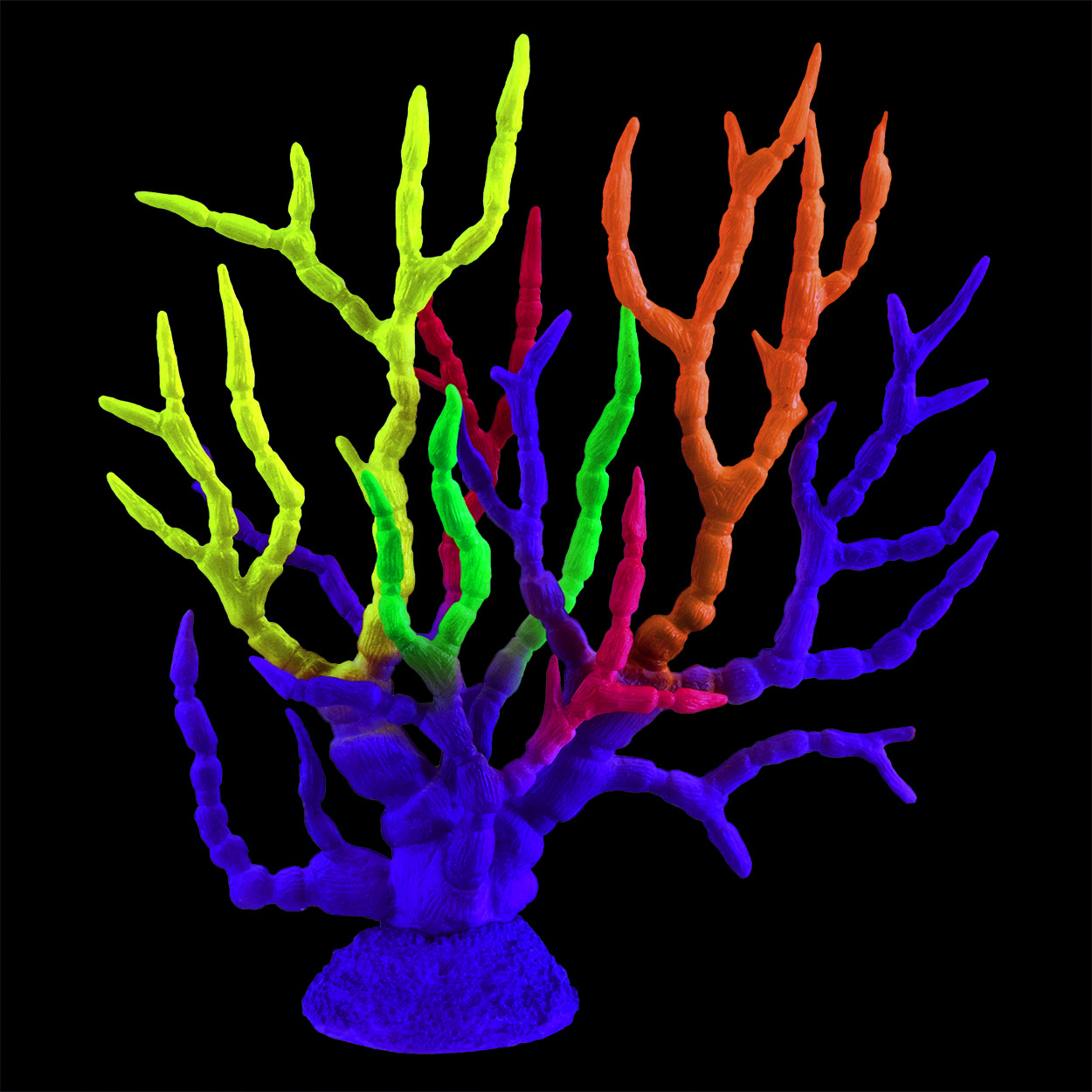 Underwater Treasures Gorgonian