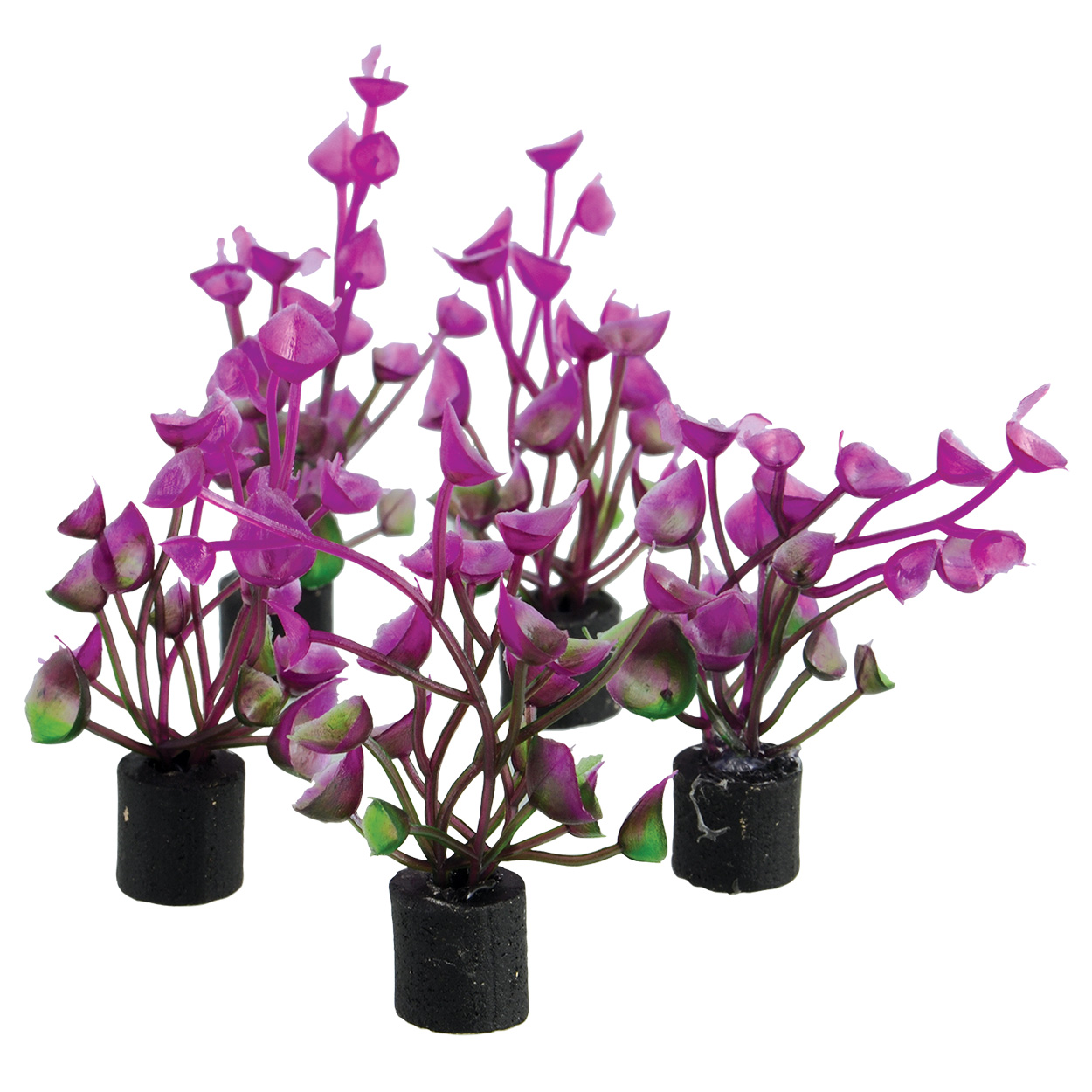 Underwater Treasures Mini Plant Purple Ear 2.25