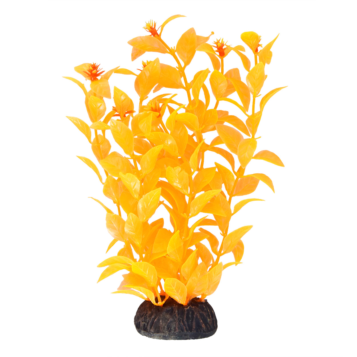 Underwater Treasures Ludwigia Orange - 8