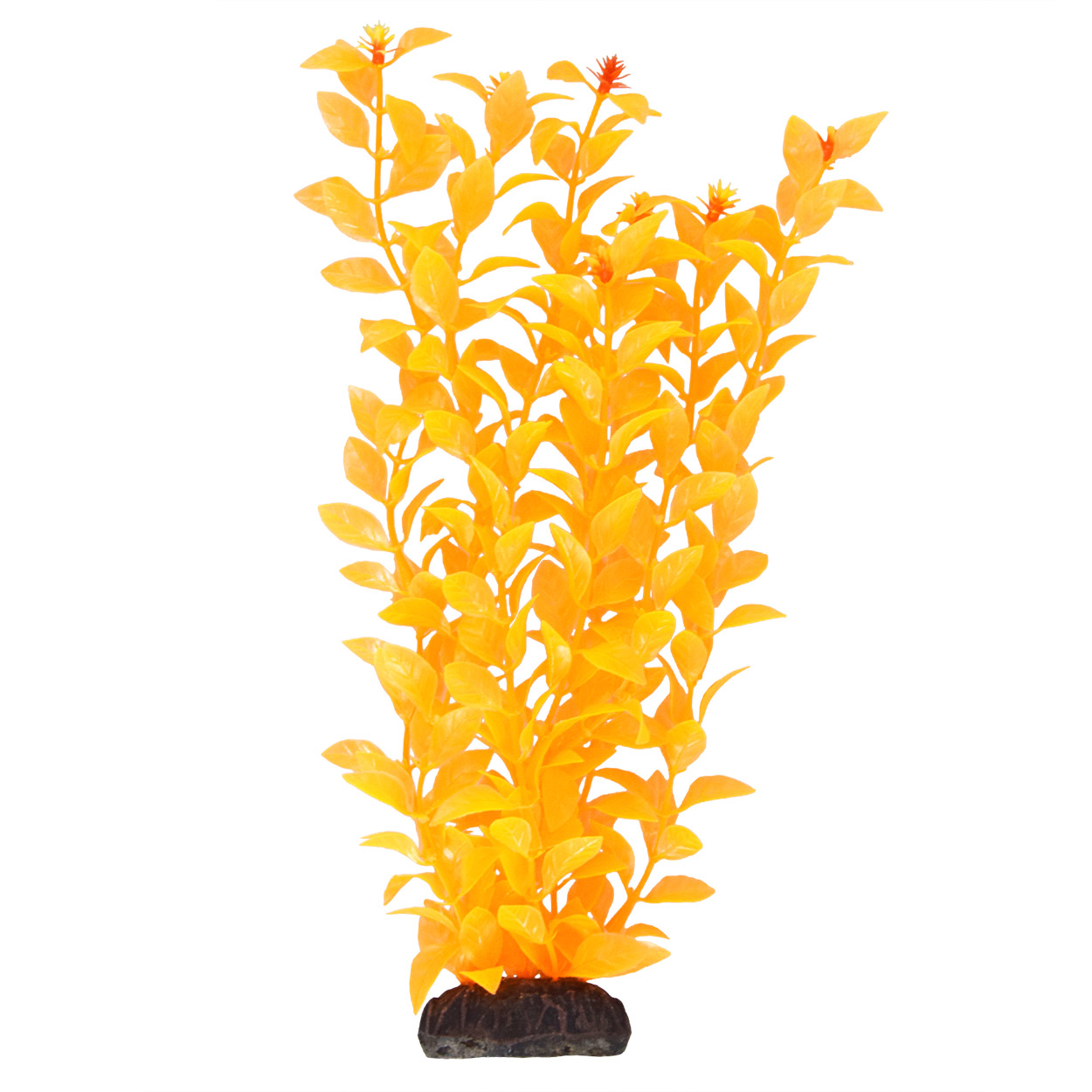 Underwater Treasures Ludwigia Orange - 12