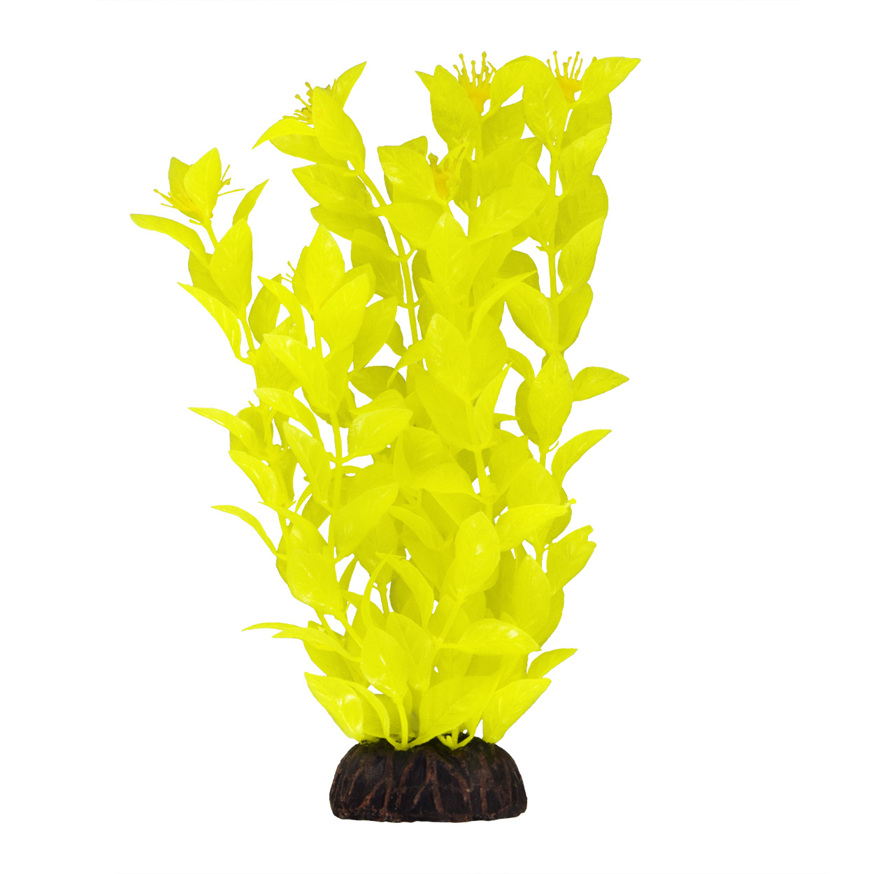 Underwater Treasures Ludwigia - Yellow 8