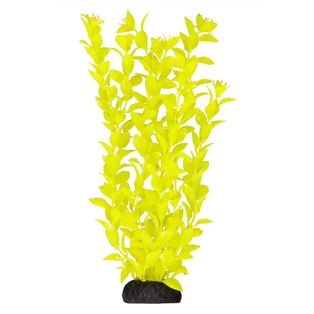 Underwater Treasures Ludwigia - Yellow 12