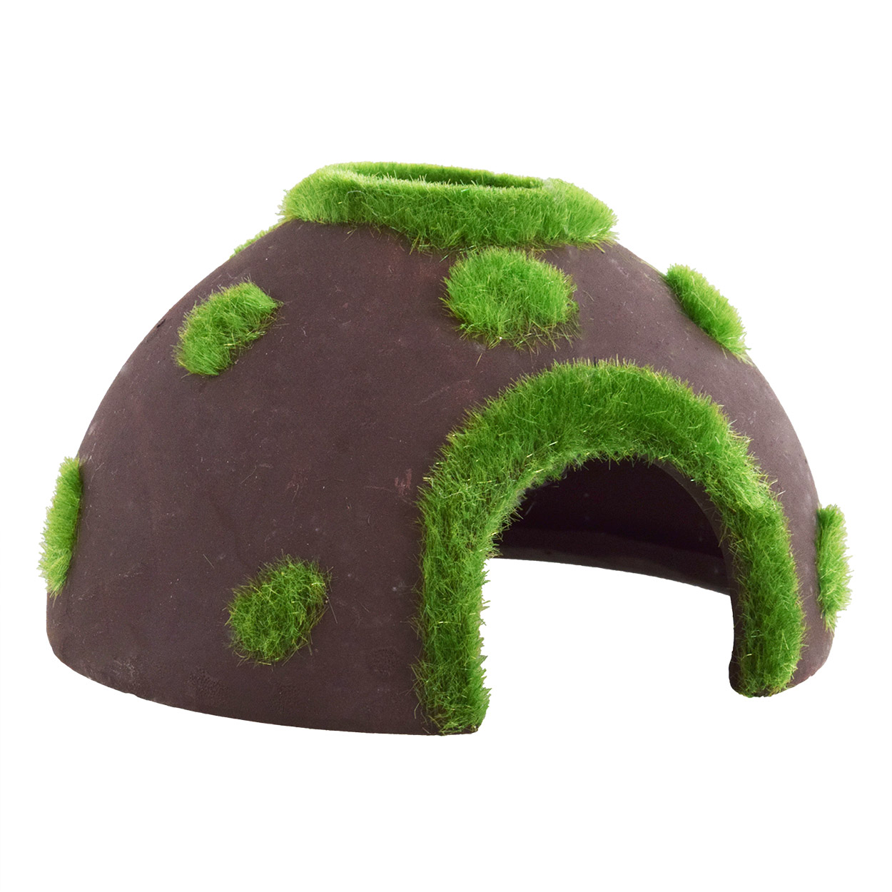 Underwater Treasures Ceramic Mossy Coconut