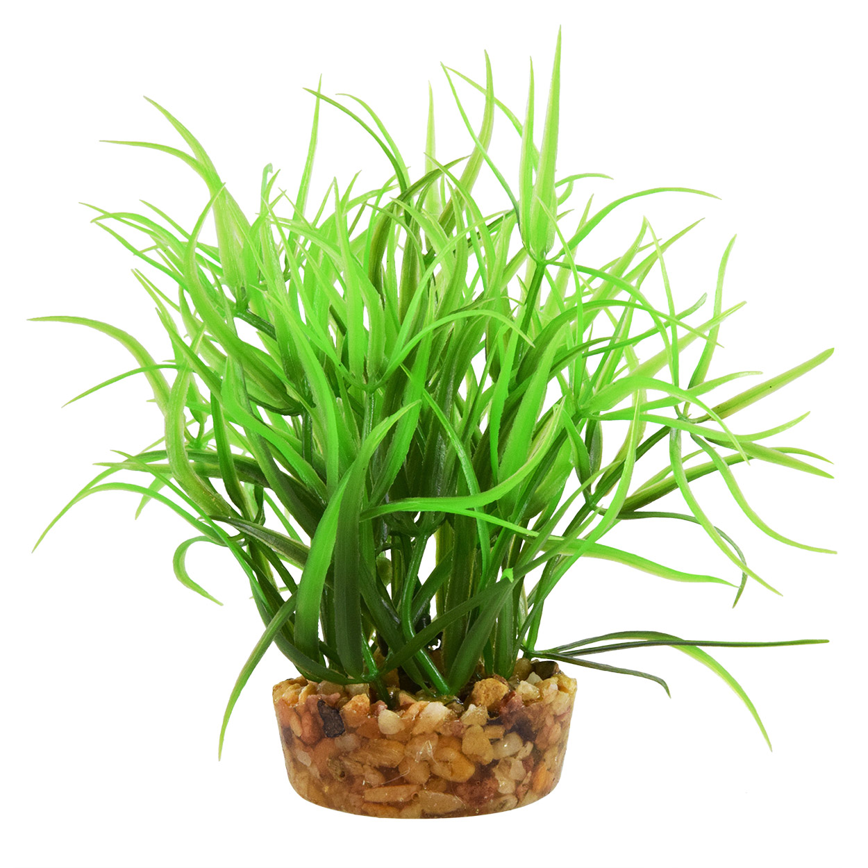 Underwater Treasures Star Grass