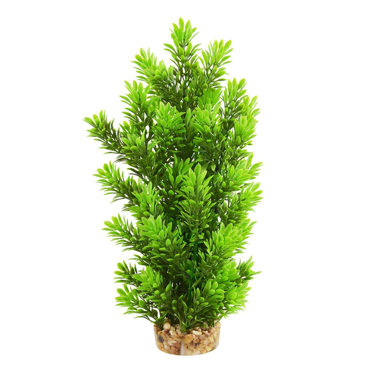 Underwater Treasures Ambulia Tree
