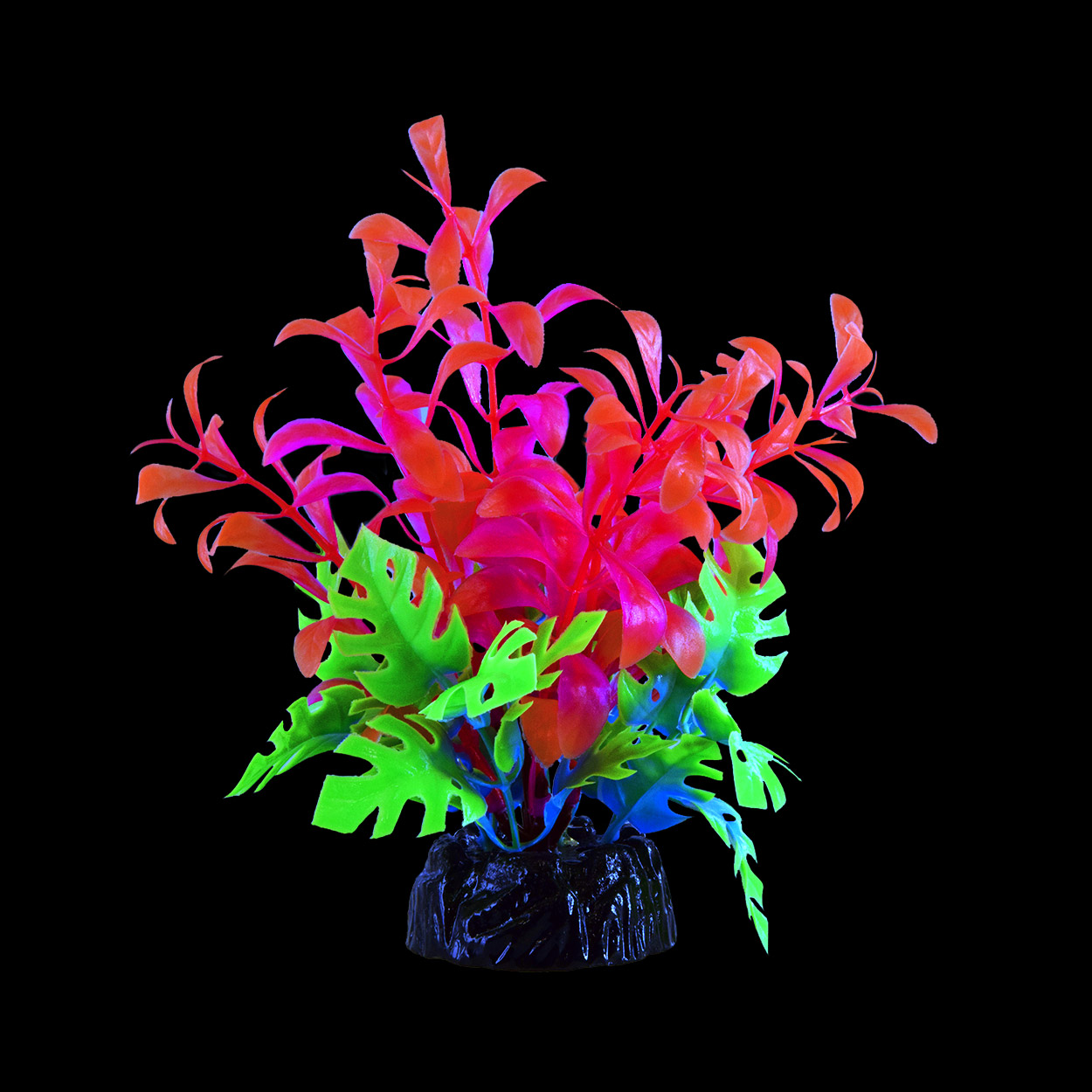 Underwater Treasures Glo Bacopa - Pink
