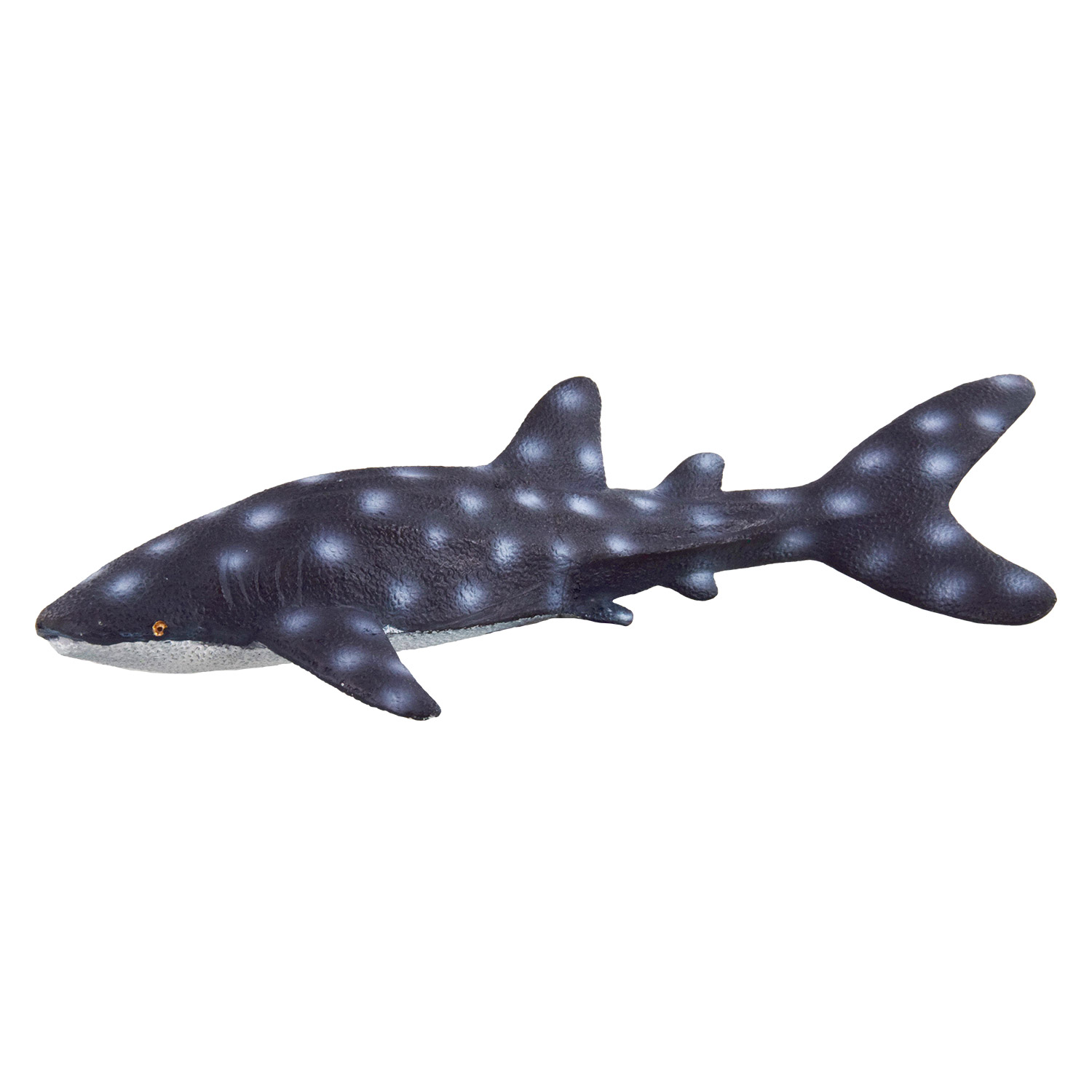 Underwater Treasures Blue Shark