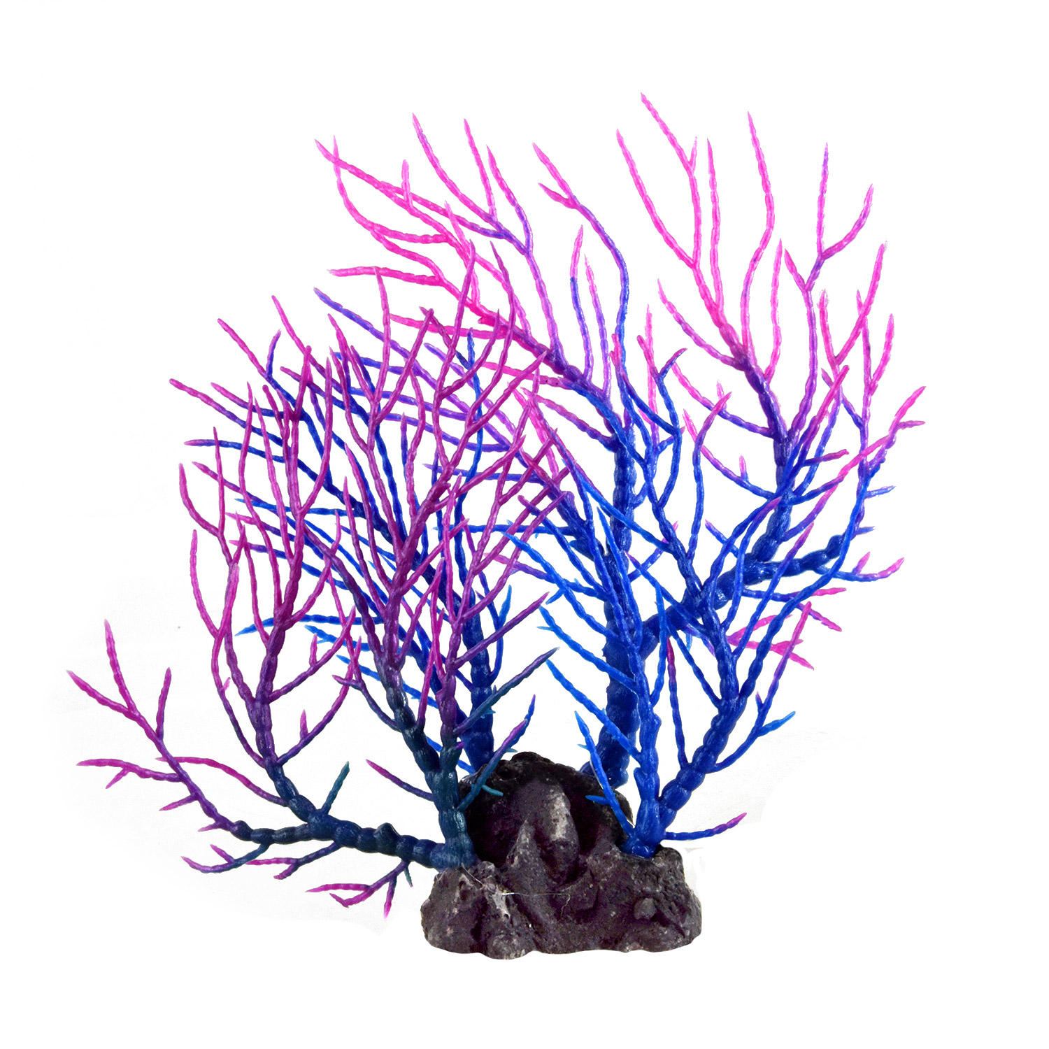 Underwater Treasures Sea Fan