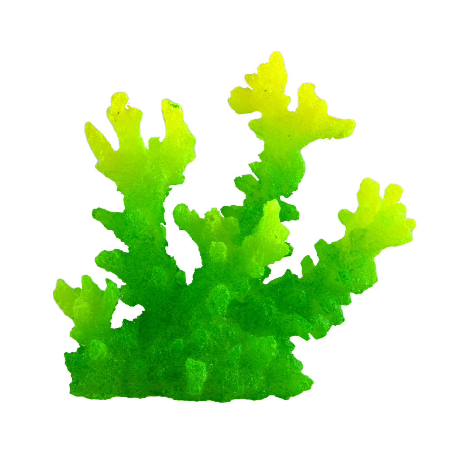Underwater Treasures Acro
