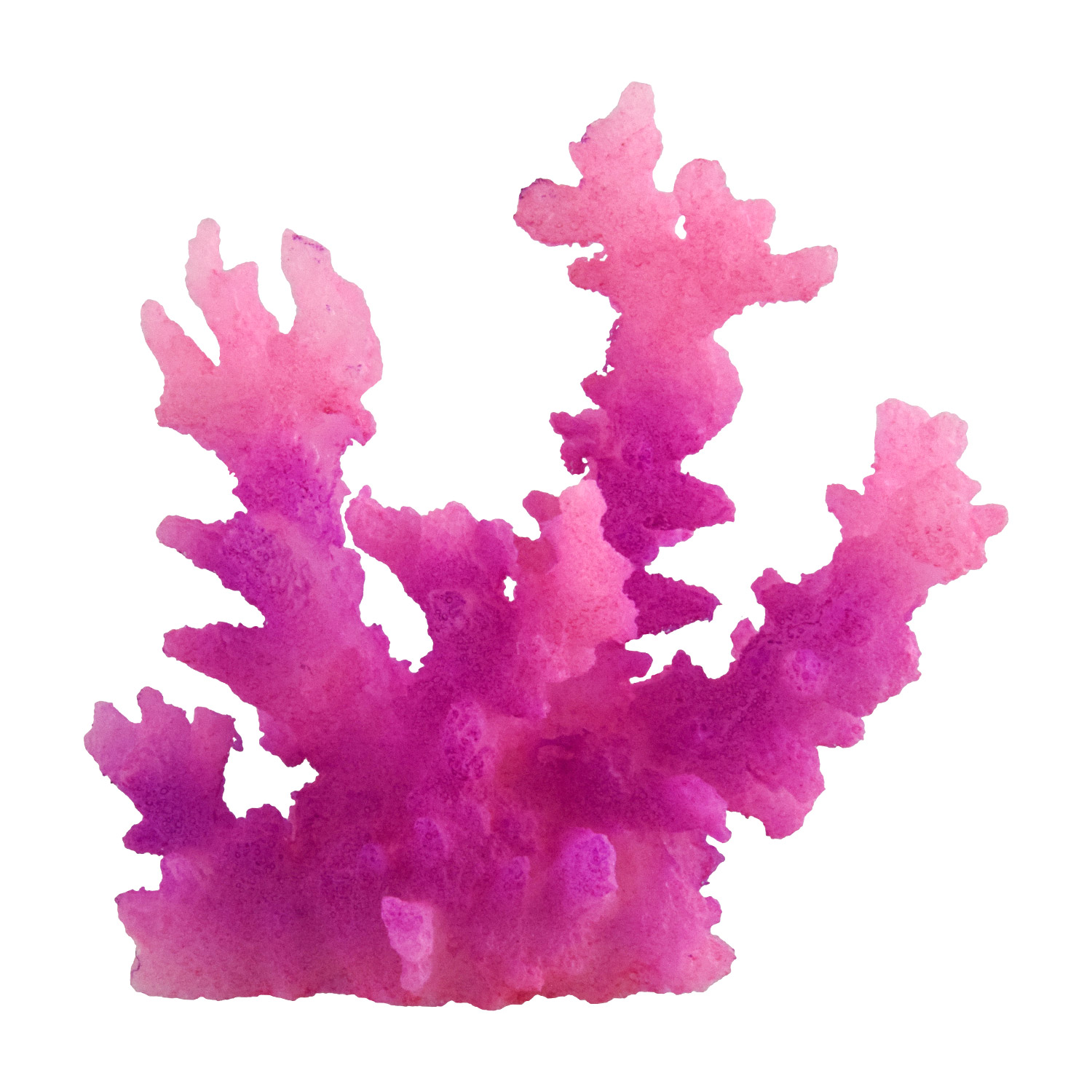 Underwater Treasures Acro