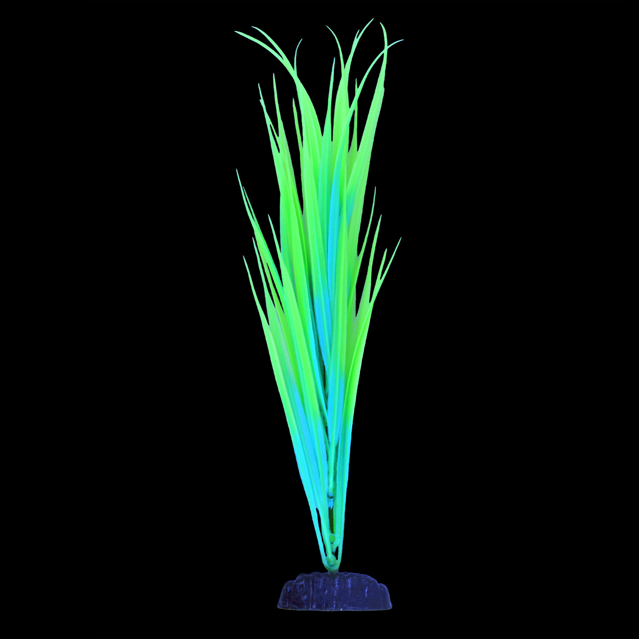 Underwater Treasures Glow Sagittaria