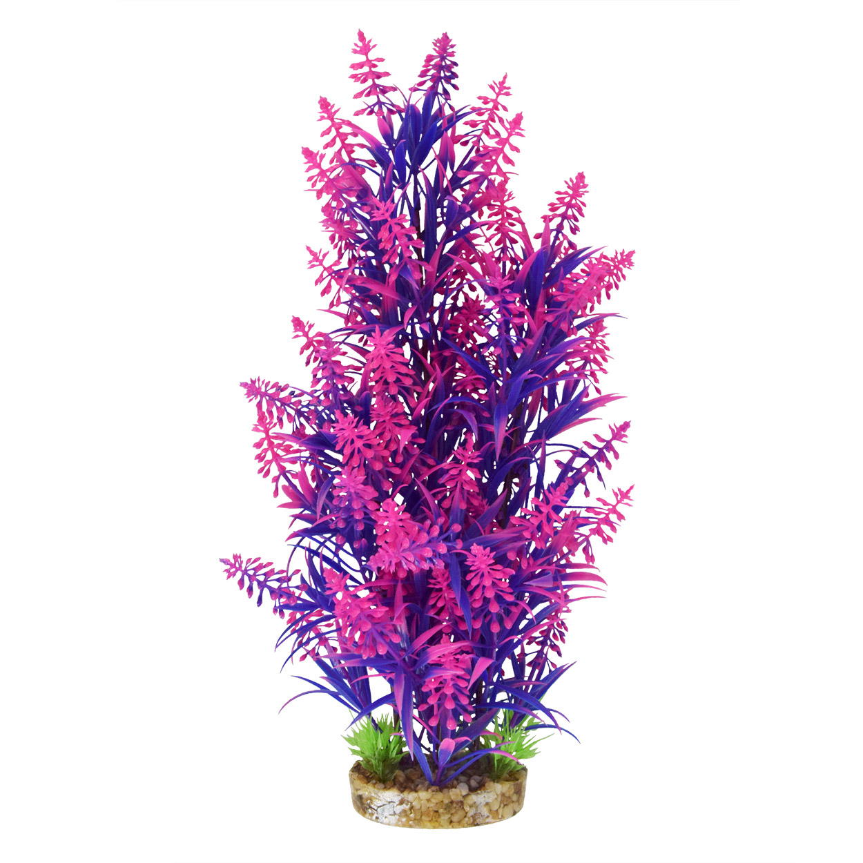 Underwater Treasures Pink Tip Kelp