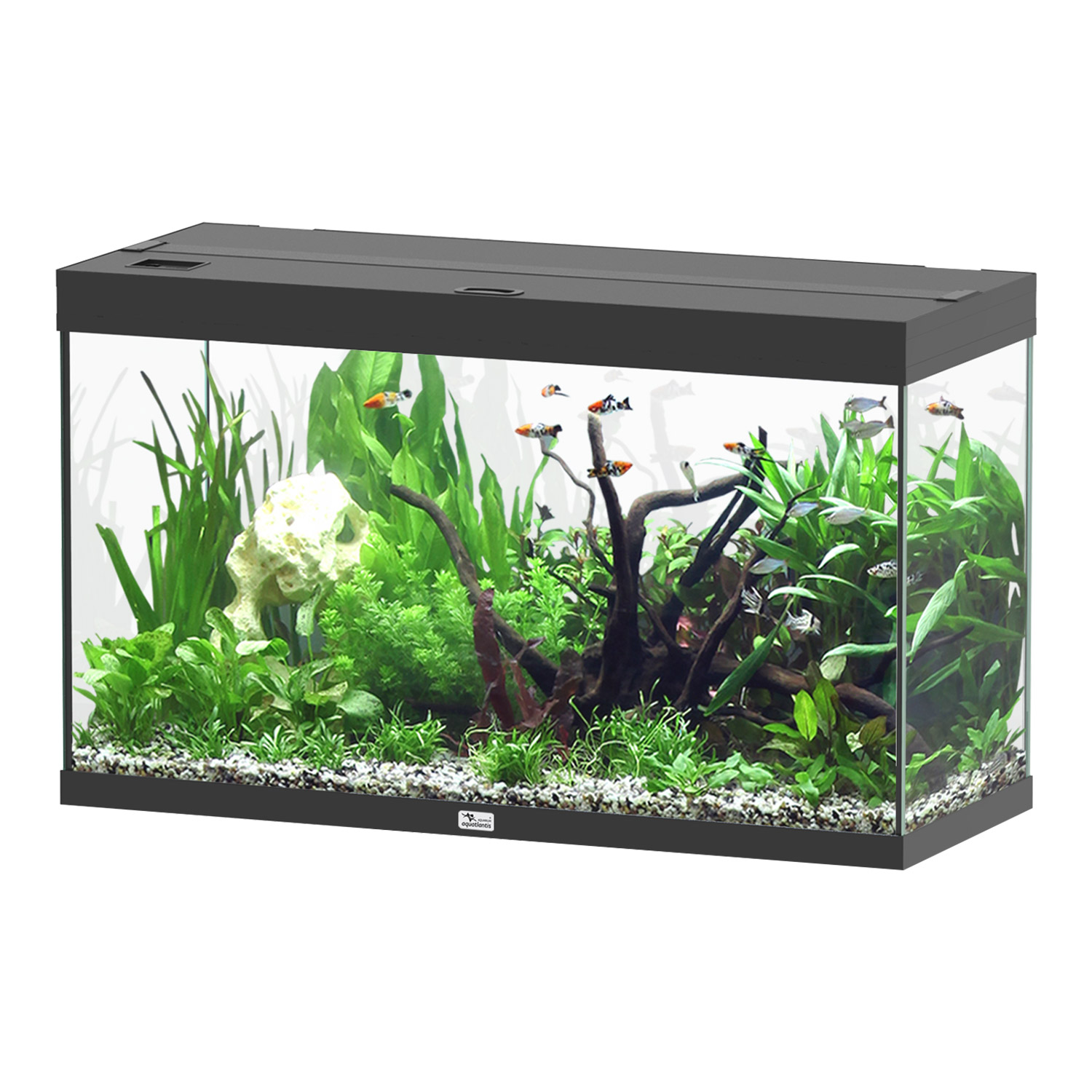 Aquatlantis Splendid Ultra 100 Tank