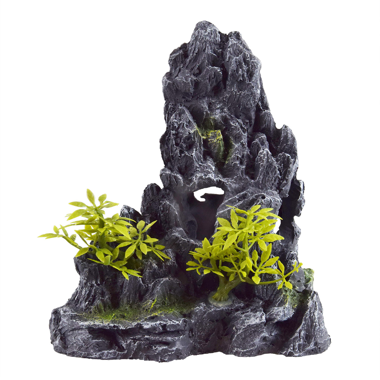 Underwater Treasures Forest Cliffs